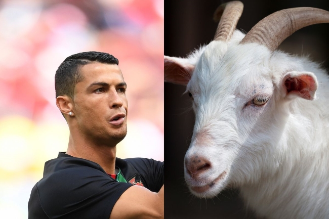 Thủ môn MU: ‘Ronaldo là G.O.A.T’
