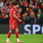 Trận Bỉ vs Xứ Wales bị gián đoạn vì lý do bất ngờ